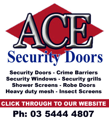 Visit the Ace Security Doors web site